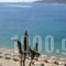 New Aegli Hotel_best prices_in_Hotel_Piraeus islands - Trizonia_Trizonia_Trizonia Rest Areas