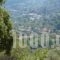 Villa Palatino_best deals_Villa_Ionian Islands_Lefkada_Lefkada Rest Areas