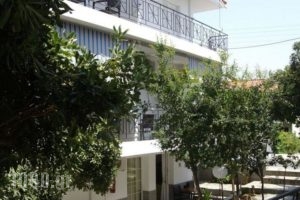 Vicky Studios_accommodation_in_Hotel_Aegean Islands_Limnos_Myrina