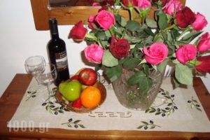 Athina_best prices_in_Room_Crete_Rethymnon_Rethymnon City