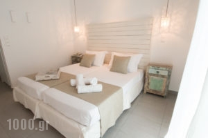 Paradise Design Apartments_best deals_Apartment_Cyclades Islands_Andros_Batsi