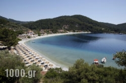 Skopelos Holidays Hotel & Spa in Skopelos Chora, Skopelos, Sporades Islands