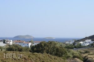 Spanos Apartments_best deals_Apartment_Cyclades Islands_Andros_Gavrio