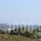 Spanos Apartments_best deals_Apartment_Cyclades Islands_Andros_Gavrio