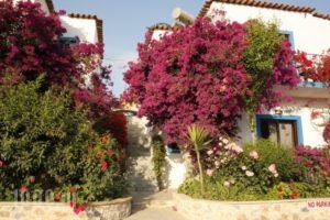 Villa Galini - Sifis Apartments_best deals_Villa_Crete_Chania_Georgioupoli
