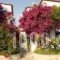 Villa Galini - Sifis Apartments_best deals_Villa_Crete_Chania_Georgioupoli