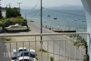 Glaros Studios_holidays_in_Hotel_Central Greece_Evia_Edipsos