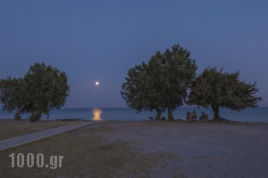 Olympia Mare_best prices_in_Apartment_Dodekanessos Islands_Kos_Kos Rest Areas