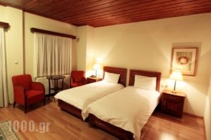 Papanastasiou_lowest prices_in_Hotel_Thessaly_Trikala_Elati