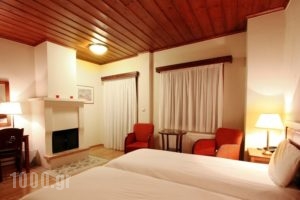 Papanastasiou_best deals_Hotel_Thessaly_Trikala_Elati