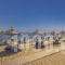 Blue Dolphin Hotel_best deals_Hotel_Macedonia_Halkidiki_Kassandreia