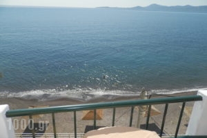 Apollon_holidays_in_Hotel_Piraeus Islands - Trizonia_Methana_Methana Chora