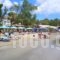 Hercules seafront Studios_accommodation_in_Apartment_Ionian Islands_Kefalonia_Assos