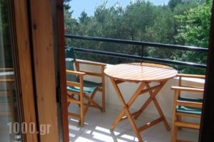 Rappos Studios Dimitra_best deals_Hotel_Macedonia_Halkidiki_Kassandreia