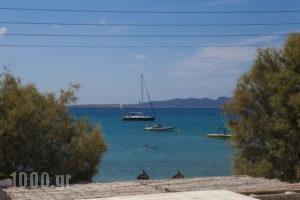 Ostria Studios & Apartments_travel_packages_in_Cyclades Islands_Paros_Alyki