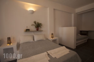 Ostria Studios & Apartments_accommodation_in_Apartment_Cyclades Islands_Paros_Alyki