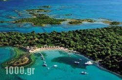 Studios Efi in Corfu Rest Areas, Corfu, Ionian Islands