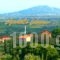 Anatoli Labreon_best prices_in_Hotel_Ionian Islands_Zakinthos_Zakinthos Rest Areas