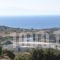 Aeolos Hotel_lowest prices_in_Hotel_Cyclades Islands_Iraklia_Iraklia Chora