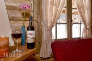 Sfendamos Wood Village_holidays_in_Hotel_Macedonia_Kozani_Emporio