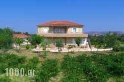 Aggelina’s Apartments in Samos Rest Areas, Samos, Aegean Islands