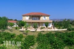 Aggelina’s Apartments in Kefalonia Rest Areas, Kefalonia, Ionian Islands