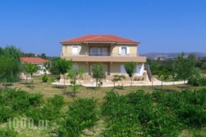 Aggelina's Apartments_accommodation_in_Apartment_Ionian Islands_Kefalonia_Kefalonia'st Areas