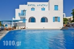 Anatoli Hotel in Naxos Chora, Naxos, Cyclades Islands