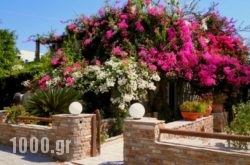 Dimitra Studios in Ios Chora, Ios, Cyclades Islands