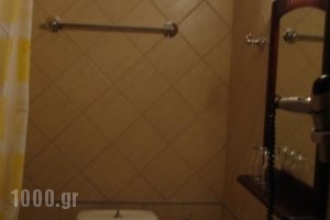 Prespa Resort Spa_best deals_Hotel_Macedonia_Florina_Agios Achillios