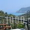 Althea Studios_accommodation_in_Hotel_Ionian Islands_Lefkada_Lefkada Chora