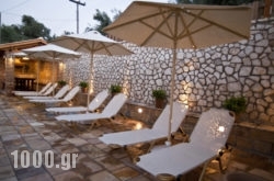 Villa Vita Holidays Apartments & Studios in Lefkada Chora, Lefkada, Ionian Islands