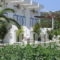 Nefeli Apartments_holidays_in_Apartment_Dodekanessos Islands_Kos_Kefalos