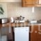 Nefeli Apartments_best deals_Apartment_Dodekanessos Islands_Kos_Kefalos