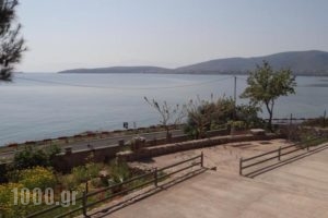 Niriides_accommodation_in_Room_Central Greece_Fokida_Galaxidi