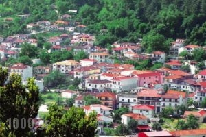 Karakikes - Rooms to Let_accommodation_in_Hotel_Thessaly_Trikala_Trikala City