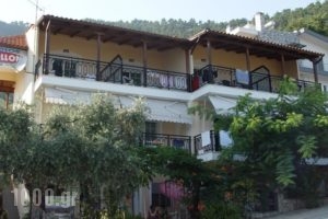 Studios Apollon_accommodation_in_Hotel_Aegean Islands_Thasos_Thasos Chora