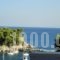 Nikos Rooms_holidays_in_Room_Sporades Islands_Alonnisos_Votsi