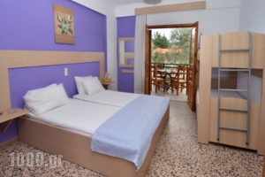 Studios Kapahi_lowest prices_in_Apartment_Aegean Islands_Thasos_Thasos Chora