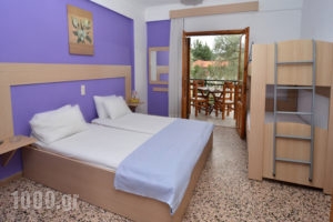 Studios Kapahi_lowest prices_in_Apartment_Aegean Islands_Thasos_Thasos Chora