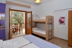 Studios Kapahi_best prices_in_Apartment_Aegean Islands_Thasos_Thasos Chora