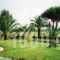 Ionion Sea_travel_packages_in_Peloponesse_Ilia_Pyrgos