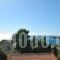 123 Soleil Studios_lowest prices_in_Hotel_Piraeus islands - Trizonia_Aigina_Aigina Chora