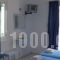 Alvi Studios_best deals_Apartment_Piraeus Islands - Trizonia_Aigina_Perdika