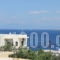 Alvi Studios_lowest prices_in_Apartment_Piraeus Islands - Trizonia_Aigina_Perdika