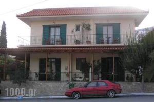 Villa Manolis_accommodation_in_Villa_Peloponesse_Argolida_Tolo
