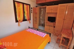 Studios Orfanou_holidays_in_Hotel_Aegean Islands_Thasos_Thasos Chora