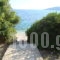 Mikros Gialos Appartments_best prices_in_Apartment_Ionian Islands_Lefkada_Lefkada Rest Areas