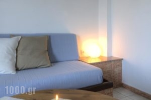 Elia & Tina Apartments_holidays_in_Apartment_Crete_Heraklion_Chersonisos