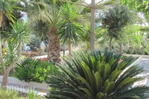 Villa Nikos Kamari_lowest prices_in_Villa_Cyclades Islands_Sandorini_kamari